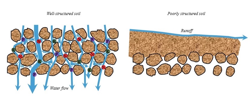 Soil Health Improvement From a Soil Physics Perspective 